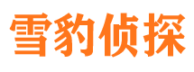 阜宁外遇调查取证